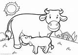Vacas Toros Vaca Pintar Byk Kolorowanka Byki Kolorowanki Krowy Kuh Mucca Ausmalbild Oraz Pokoloruj Fazenda Mucche sketch template