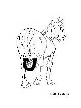 Horse Shoe Coloring Pages Fun sketch template