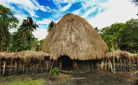 rumah adat honai hunian tradisional suku dani kumparancom