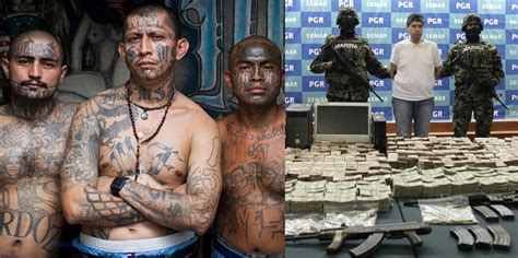 15 Disturbing Facts About Mexican Drug Cartels Therichest
