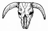 Longhorn Skulls sketch template