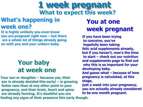 the first week of pregnancy what to expect this week