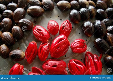 fresh nutmegs  red  skin separated stock photo image