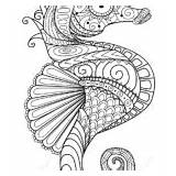Seahorse Mandala Coloring Zentangle Pages sketch template
