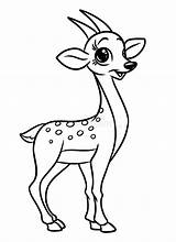 Antilope Animale Coloration Fumetto Coloritura Impagina Pagine Dessinée sketch template