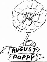 Coloring Poppy Pages Flower Library Clipart August sketch template