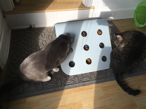 Ikea Hack Diy Food Puzzle For Cats Fundamentally Feline