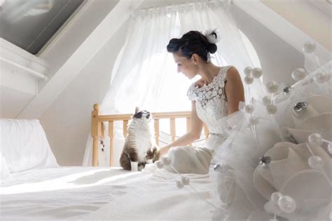 Wedding Photos With Cats Popsugar Love And Sex Photo 6