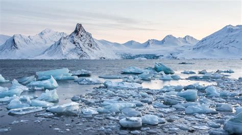 noordpool warmt veel sneller op  rest van de aarde nu het laatste nieuws het eerst op nunl