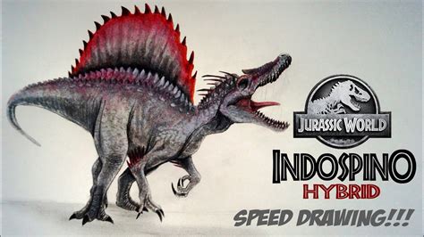 Drawing A Hybrid Dinosaur Spinosaurus Indominus Rex Full Body Hybrid