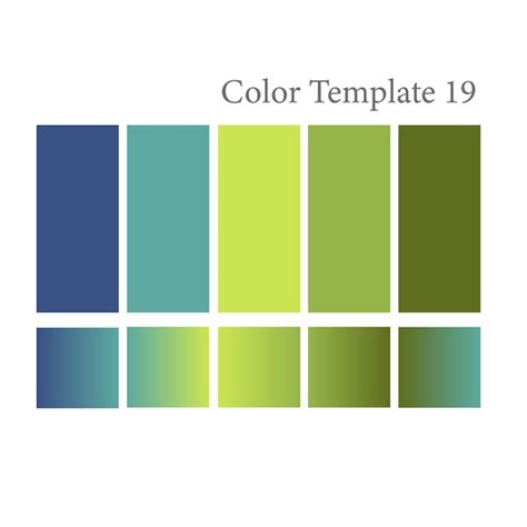 premium vector color template