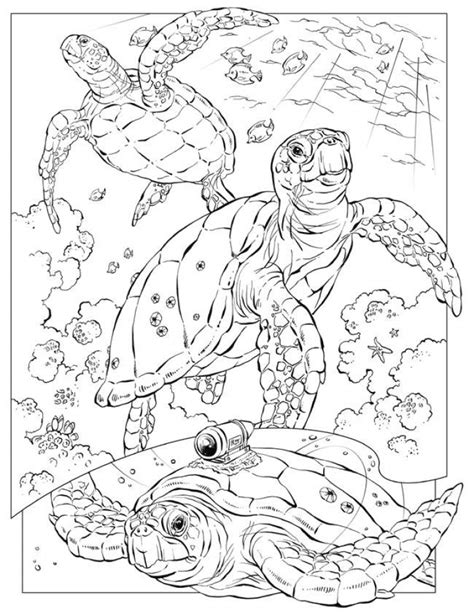printable ocean coloring pages everfreecoloringcom