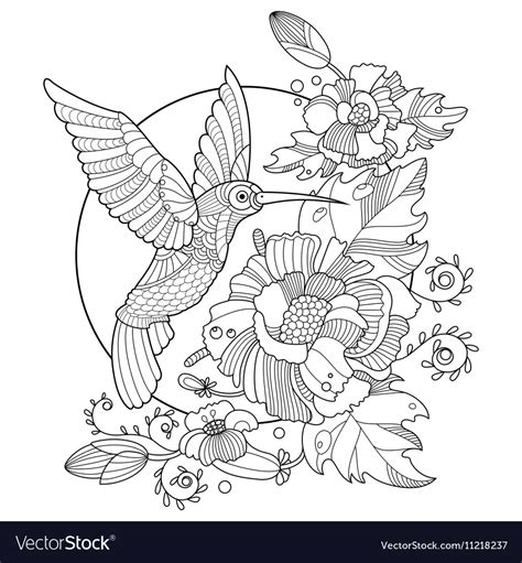 awesome  adult humming birdl coloring pages hummingbird