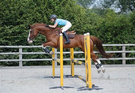 improve  jumping position horse  rider