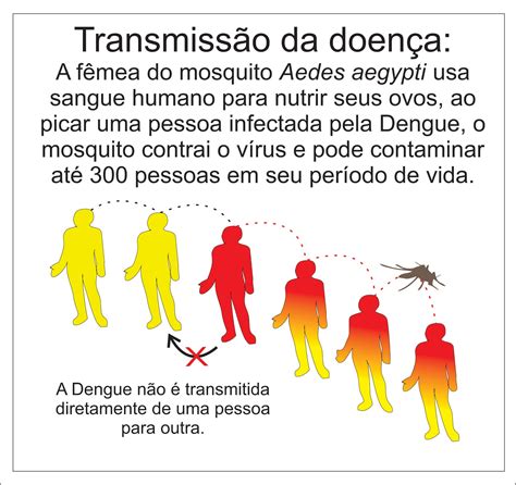 novo hamburgo contra a dengue