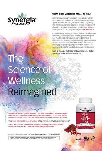 print ad  synergia wellness print ads wellness health  wellness