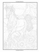Coloring Amazon Horse Pages Haven Creative Color Books Number Horses Book Numbers sketch template