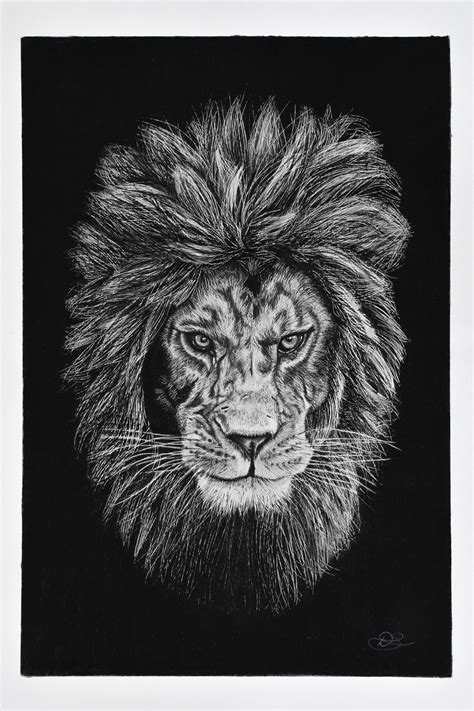 black  white lion print lion art lion pencil drawing etsy uk