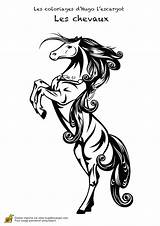 Chevaux Realistes Coloriages Hugolescargot Partager Greatestcoloringbook sketch template