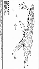 Liopleurodon Coloring Pages Colouring Template sketch template