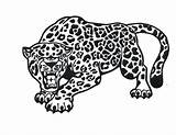 Jaguar Drawing Coloring Getdrawings Pages sketch template