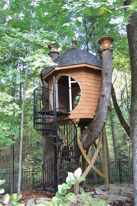 stunning  tree house   backyard ideas httpspinarchitecture