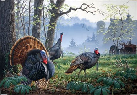30 best turkey art images on pinterest wild turkey wildlife art and