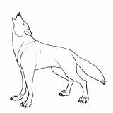 Wolf Coloring Pages Howling Drawing Head Wolves Step Sketches Lineart Printable Wolfs Moon Imperfect Easy Sitting Simple Draw Drawings Silhouette sketch template