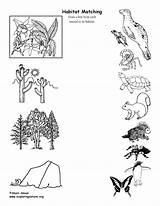 Habitat Matching Animal Activity High Exploringnature sketch template