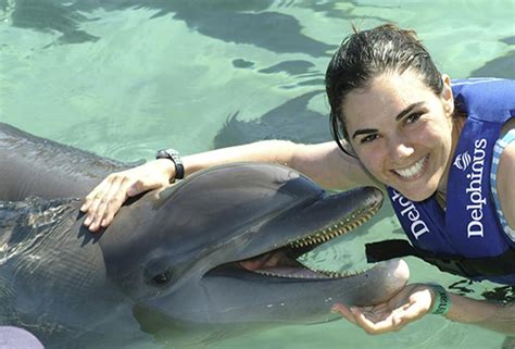 top 5 places to go dolphin swimming in the mexican