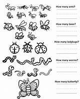 Insect Kids Worksheets Parts Worksheet Kindergarten Preschool Body Bug Insects Label Color Count Printable Activities Grade Coloring Worksheeto September Counting sketch template