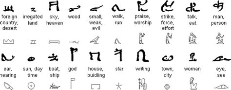 Egyptian Hieratic Script