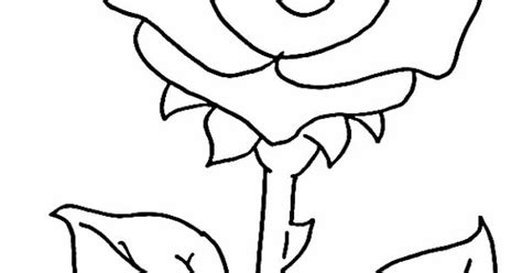 printable flowers   printable flowers coloring pages