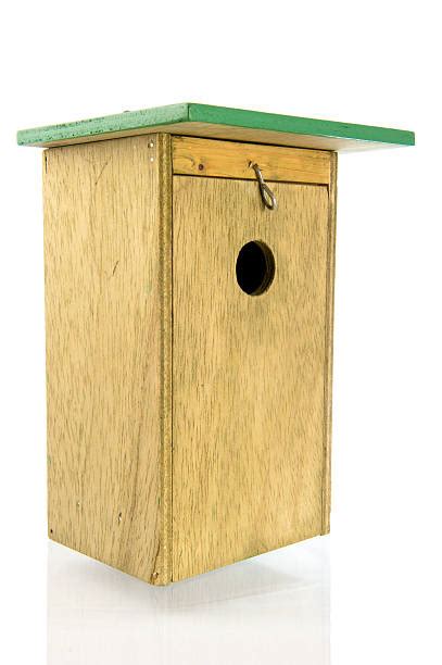 robin birdhouse stock  pictures royalty  images istock
