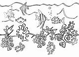Ocean Coloring Drawing Sea Pages Underwater Plants Floor Ecosystem Creatures Clipart Animals Life Scenes Drawings Seaweed Beach Pencil Fish Water sketch template