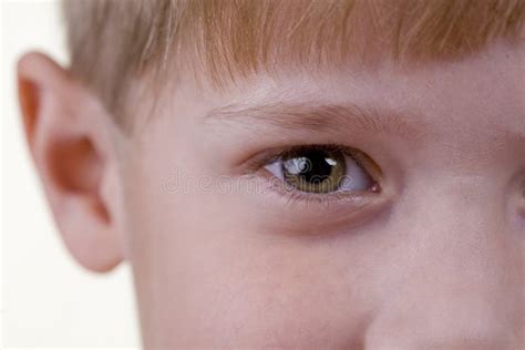 child  eye stock photo image  face nose white head