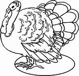 Turkey Coloring Pages Drawing Color Animal Kids Clipart Animals Print Printable Redneck Thanksgiving Drawings Make Rose Shade Clipartbest 1000 Wild sketch template