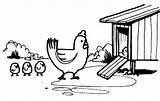 Coop Chicken Coloring Pages Enter Chick Lead Mother Her Netart Cartoon Print Color sketch template