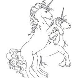 unicorn coloring pages unicorn coloring pages horse coloring