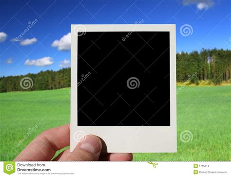 hand holding blank photo stock photo image  grassy