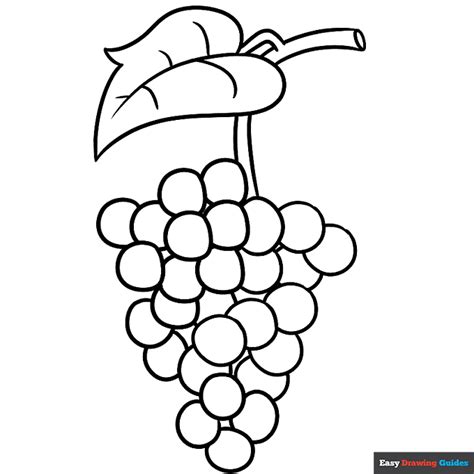 grapes coloring page easy drawing guides