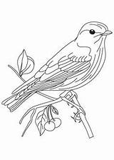 Bluebird Blackbird Winged sketch template