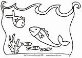 Coloring Pages Fish Small Kiss Band Cod Drawing Getcolorings Getdrawings Printable sketch template