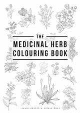 Book Colouring Herb Medicinal Cover Plants Common sketch template