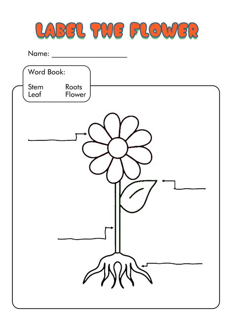 label  plant worksheets  printable worksheet