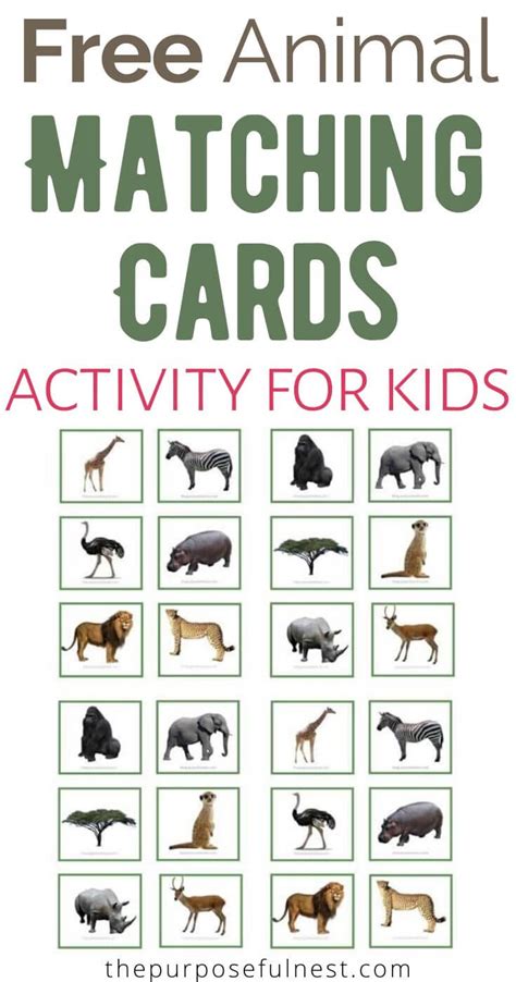 printable animal matching cards zootiere vorschule im