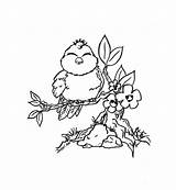 Coloring Pages Bird Cute Flowers Birds Flower Kids Adult Adults Print Printable Branch Color Birdie Drawing Sheet Tree Colouring Adorable sketch template