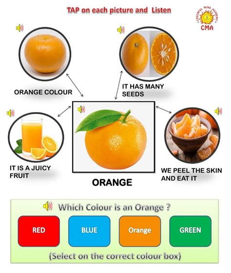 fruit orange interactive worksheet color worksheets  preschool
