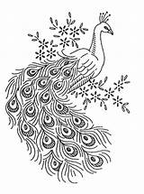 Peacock Pattern Embroidery Outline Drawing Patterns Vintage Hand Designs Printable Template Sketch Broderie Peacocks Spice Machine Crewel Drawings Everything Nice sketch template