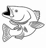 Fish Bass Coloring Pages Color Fishing Printable Smallmouth Drawing Sketch Mouth Drawings Print Patterns Coin Clipart Sniper Template Procoloring Place sketch template